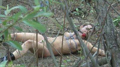 Tied up chick Bailey Blue gets her pussy fucked and jizzed in the forest on lovepornstars.com